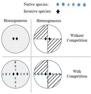 Effects of Soil Nutrient Heterogeneity on the Growth and Invasion Success of Alien Plants: A Multi-Species Study